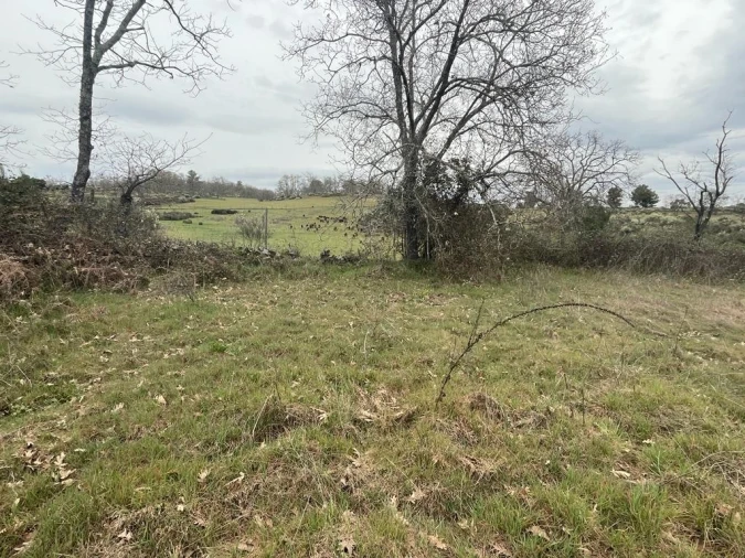 Quinta T1 para Venda em Orca Foto 32