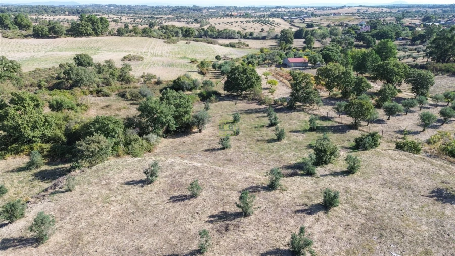 Quinta T1 para Venda em Orca Foto 53