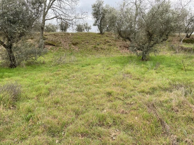 Quinta T1 para Venda em Orca Foto 28