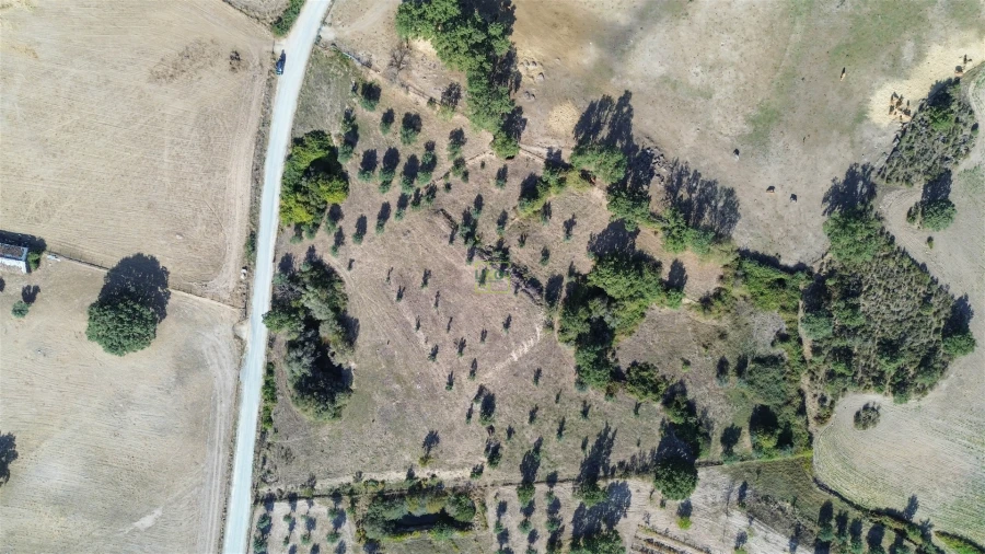 Quinta T1 para Venda em Orca Foto 5