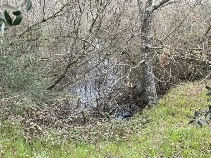 Quinta T1 para Venda em Orca Foto 12