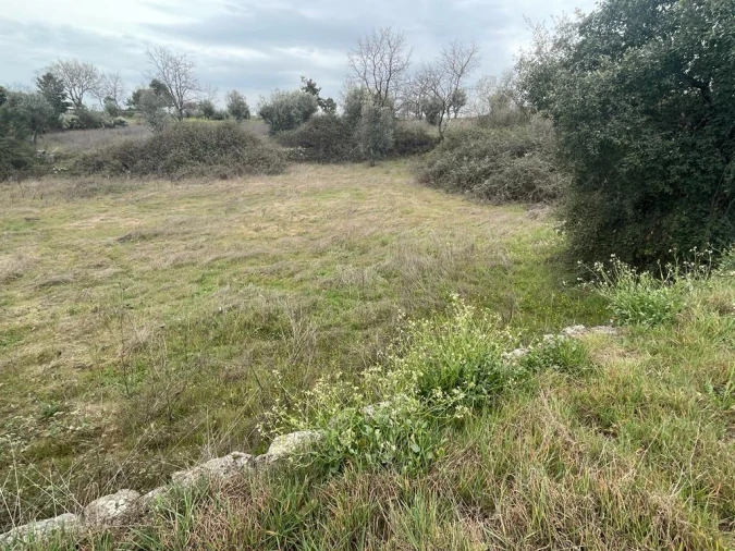 Quinta T1 para Venda em Orca Foto 36