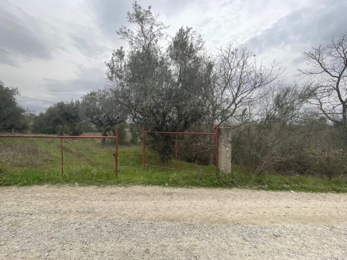 Quinta T1 para Venda em Orca Foto 42