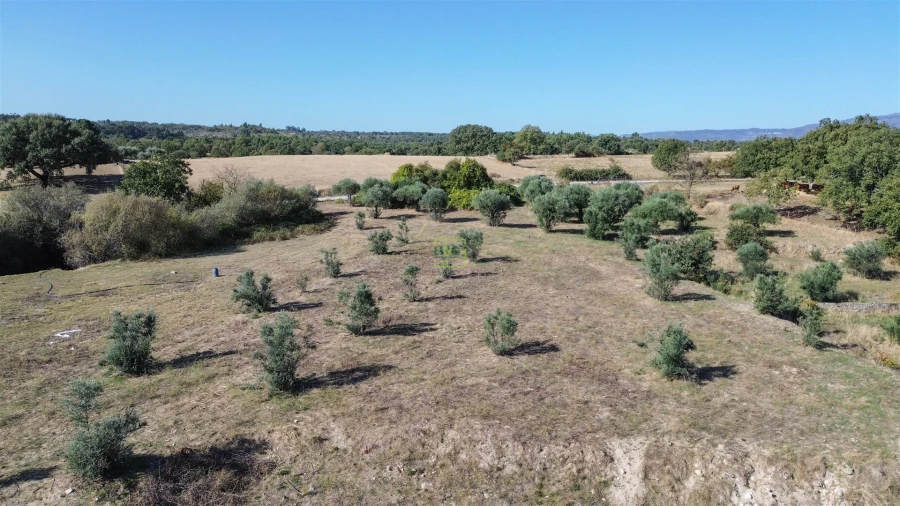 Quinta T1 para Venda em Orca Foto 48