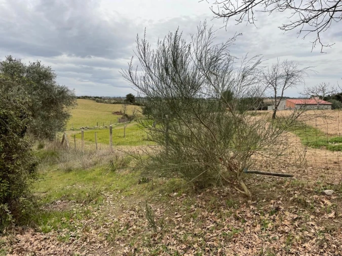 Quinta T1 para Venda em Orca Foto 39