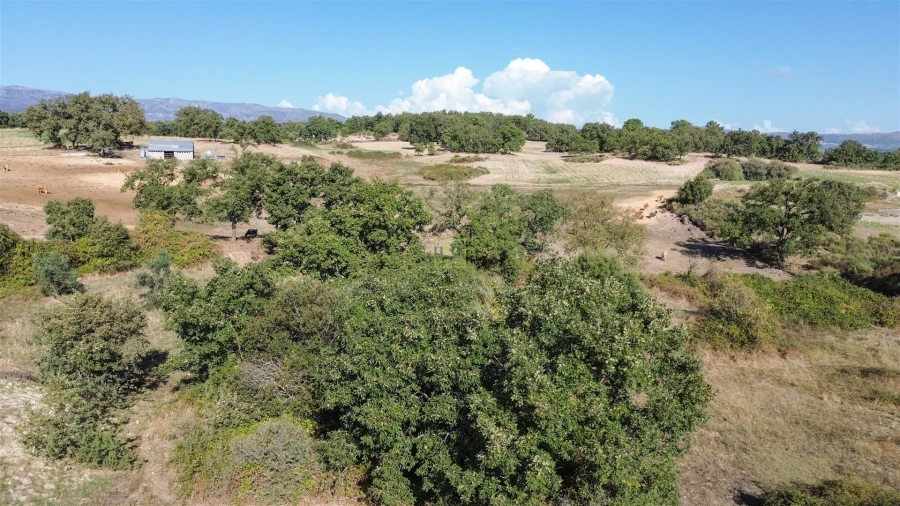 Quinta T1 para Venda em Orca Foto 50