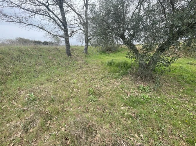 Quinta T1 para Venda em Orca Foto 20