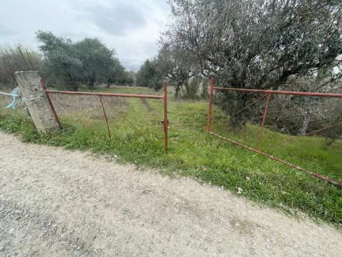 Quinta T1 para Venda em Orca Foto 13