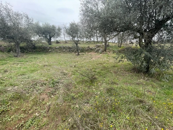 Quinta T1 para Venda em Orca Foto 25