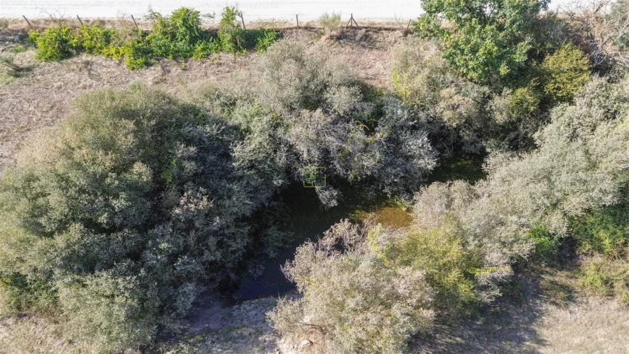 Quinta T1 para Venda em Orca Foto 52