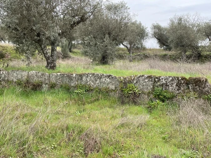 Quinta T1 para Venda em Orca Foto 30