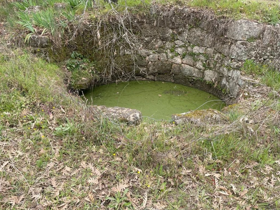 Quinta T1 para Venda em Orca Foto 23