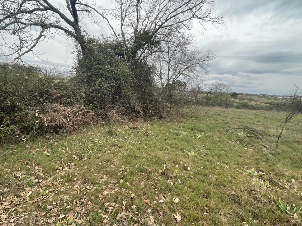 Quinta T1 para Venda em Orca Foto 31