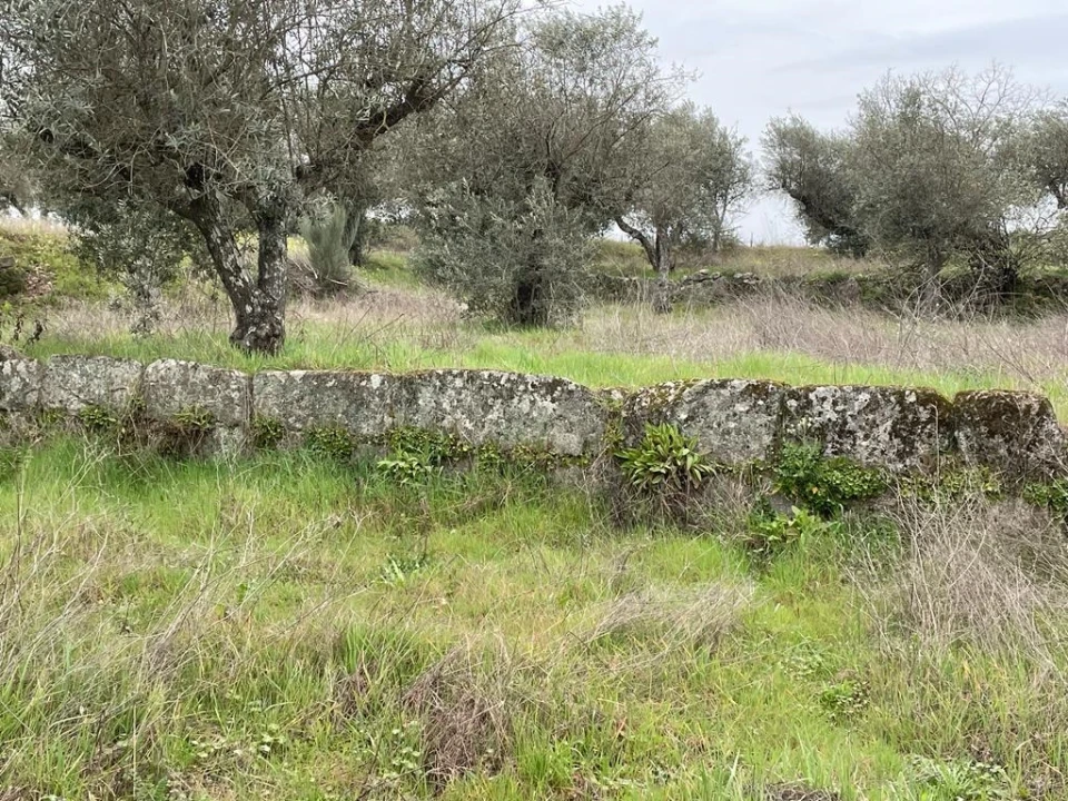 Quinta T1 para Venda em Orca Foto 30