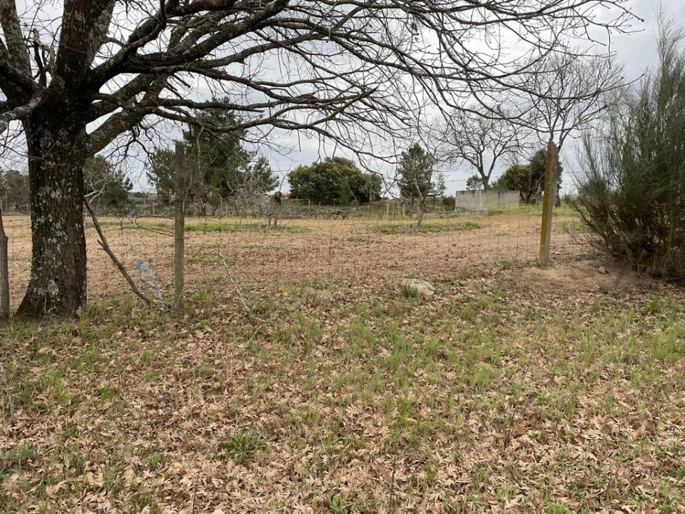 Quinta T1 para Venda em Orca Foto 37