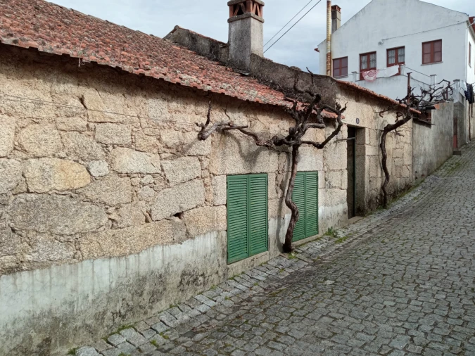 Moradia T0 para Venda em Aldeia do Bispo, Águas e Aldeia de João Pires Foto 2