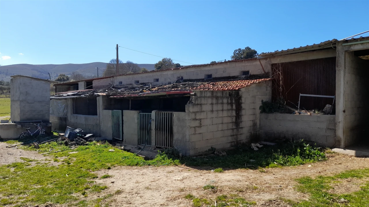 Quinta T4 para Venda em Telhado Foto 29