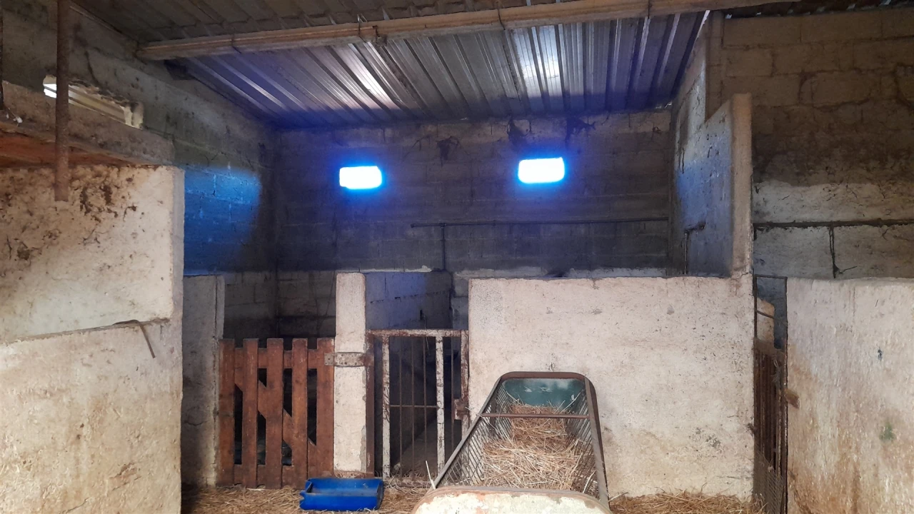 Quinta T4 para Venda em Telhado Foto 25