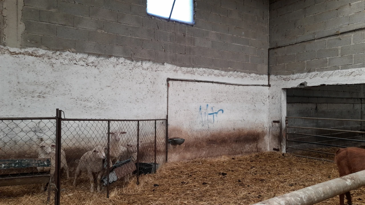 Quinta T4 para Venda em Telhado Foto 24