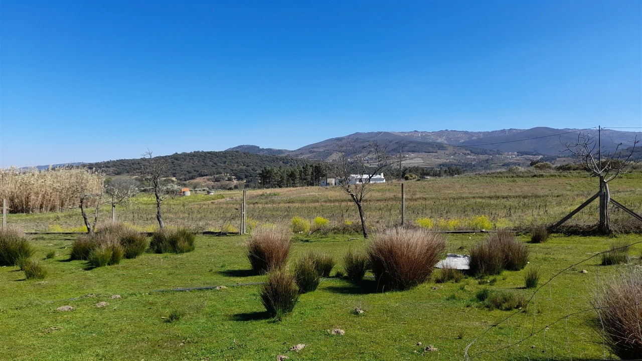 Quinta T4 para Venda em Telhado Foto 21
