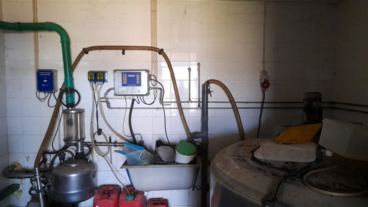 Quinta T4 para Venda em Telhado Foto 33