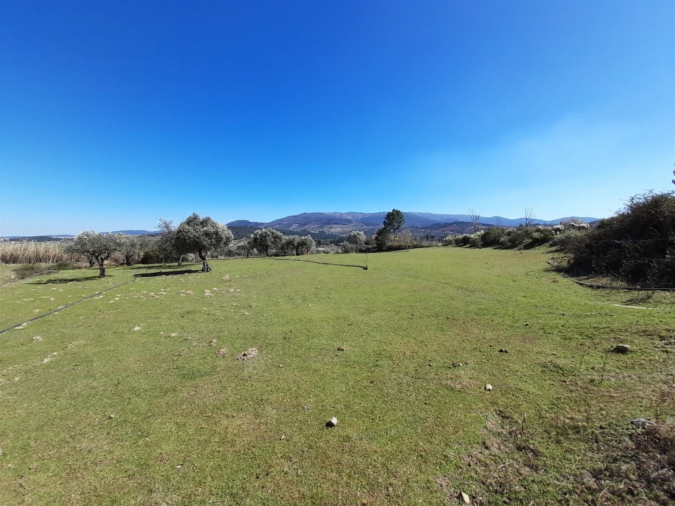 Quinta T4 para Venda em Telhado Foto 5