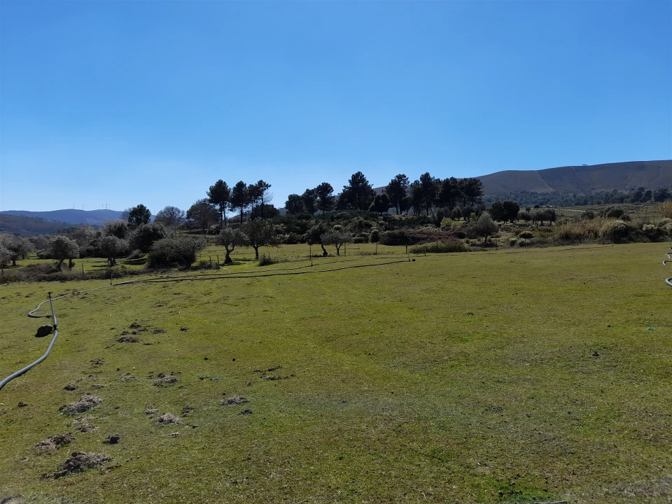 Quinta T4 para Venda em Telhado Foto 9