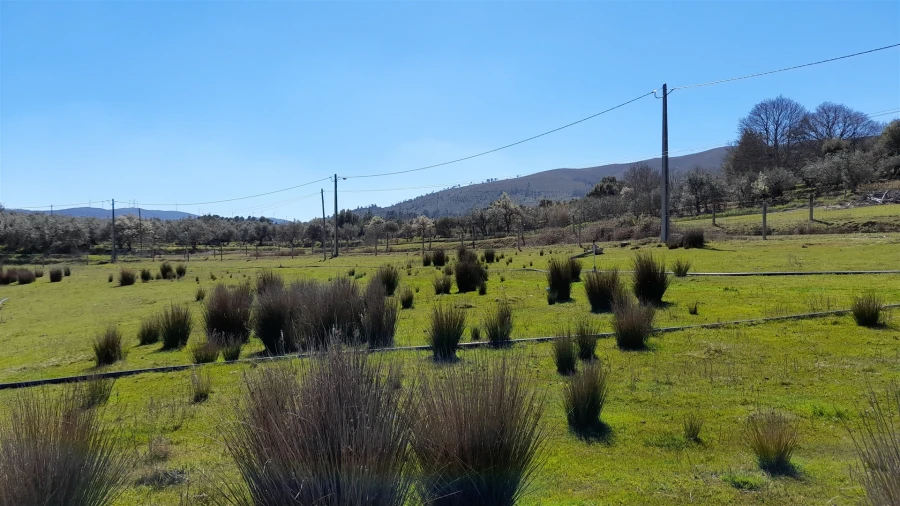 Quinta T4 para Venda em Telhado Foto 18