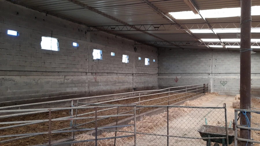 Quinta T4 para Venda em Telhado Foto 26