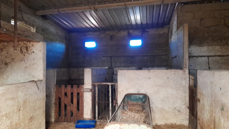 Quinta T4 para Venda em Telhado Foto 25