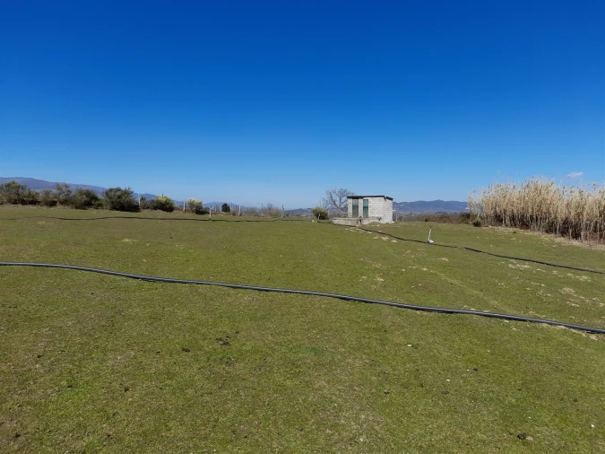 Quinta T4 para Venda em Telhado Foto 11