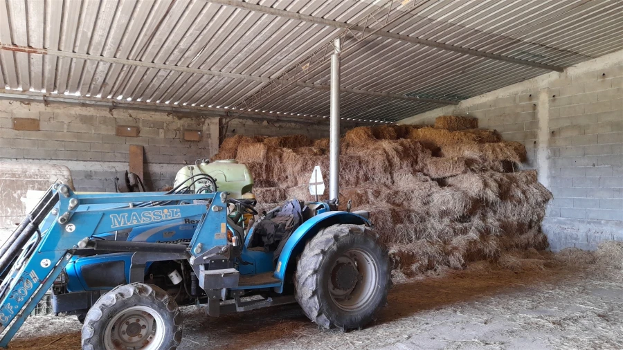 Quinta T4 para Venda em Telhado Foto 31