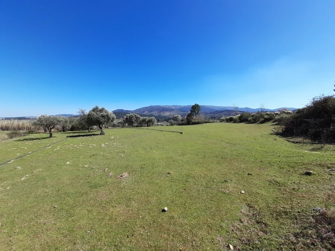 Quinta T4 para Venda em Telhado Foto 5