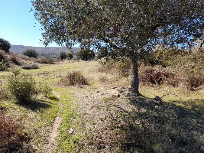 Quinta T4 para Venda em Telhado Foto 7