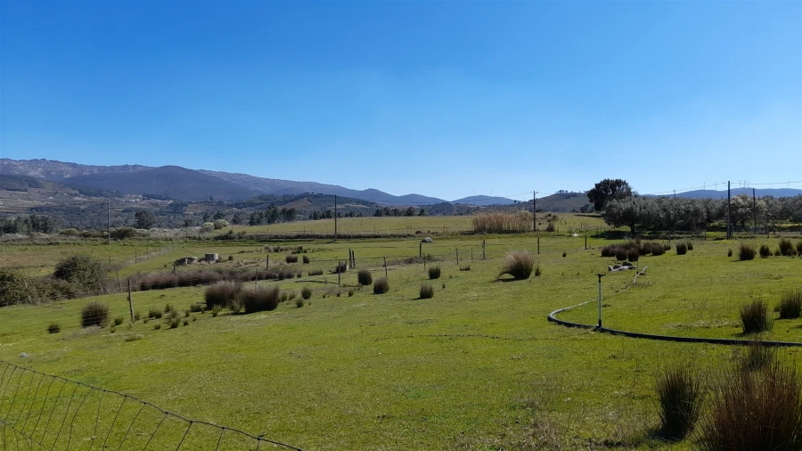 Quinta T4 para Venda em Telhado Foto 19