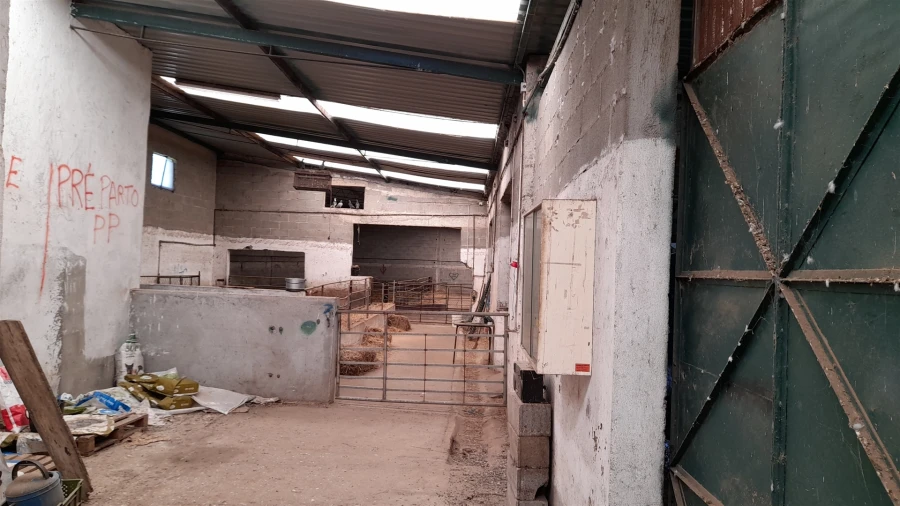 Quinta T4 para Venda em Telhado Foto 22