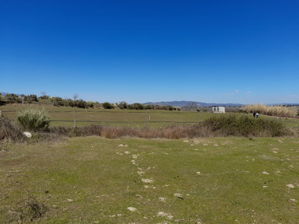 Quinta T4 para Venda em Telhado Foto 6