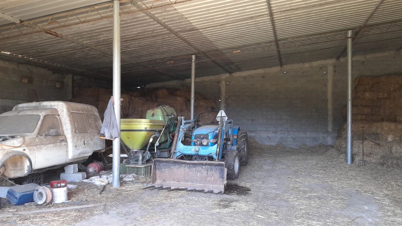 Quinta T4 para Venda em Telhado Foto 28