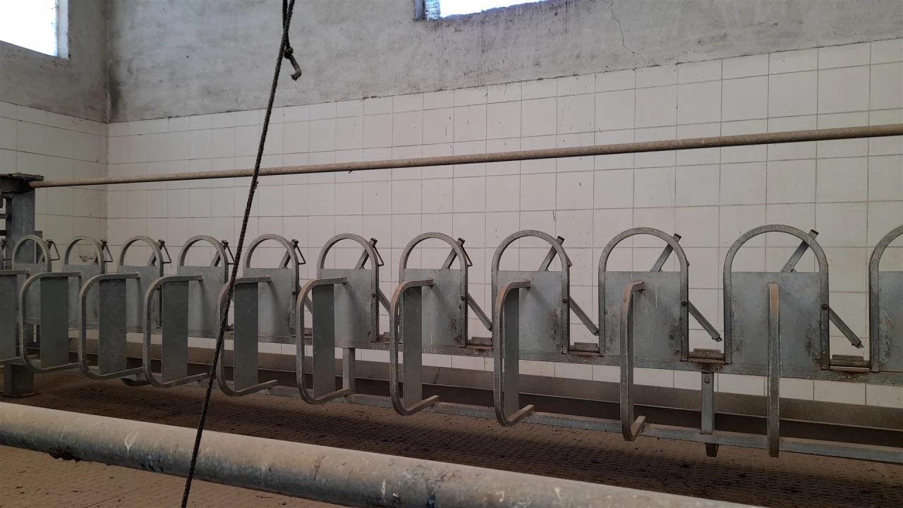 Quinta T4 para Venda em Telhado Foto 23