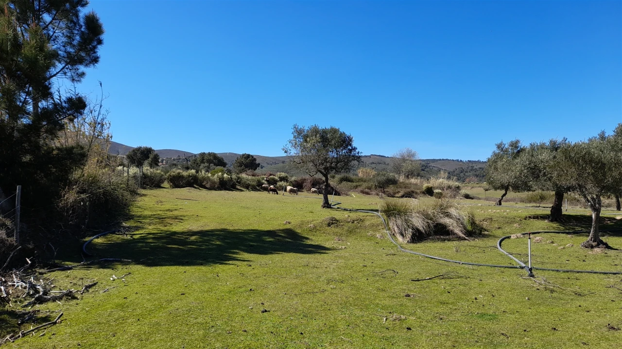 Quinta T4 para Venda em Telhado Foto 14