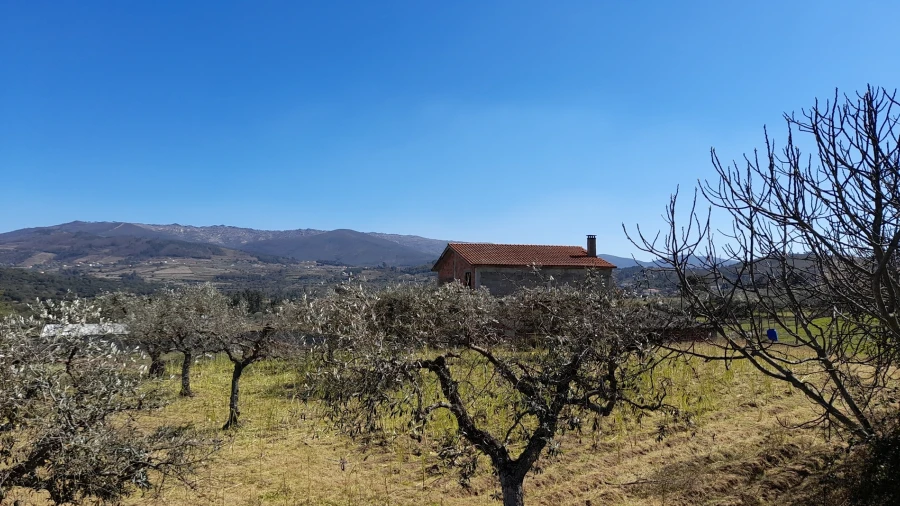 Quinta T4 para Venda em Telhado