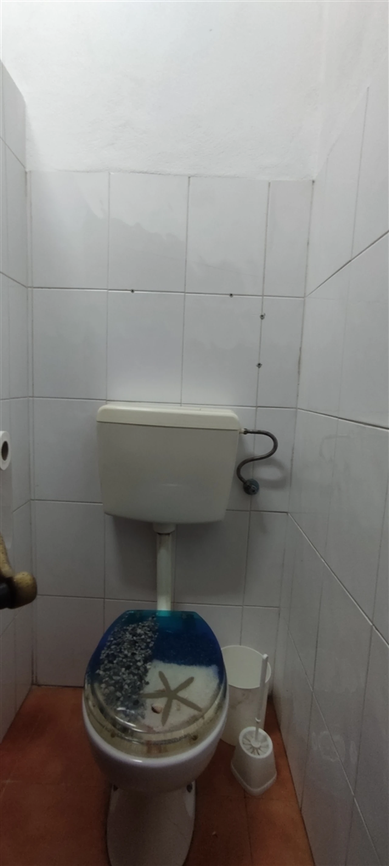 Armazém para Venda em Cebolais de Cima e Retaxo Foto 44