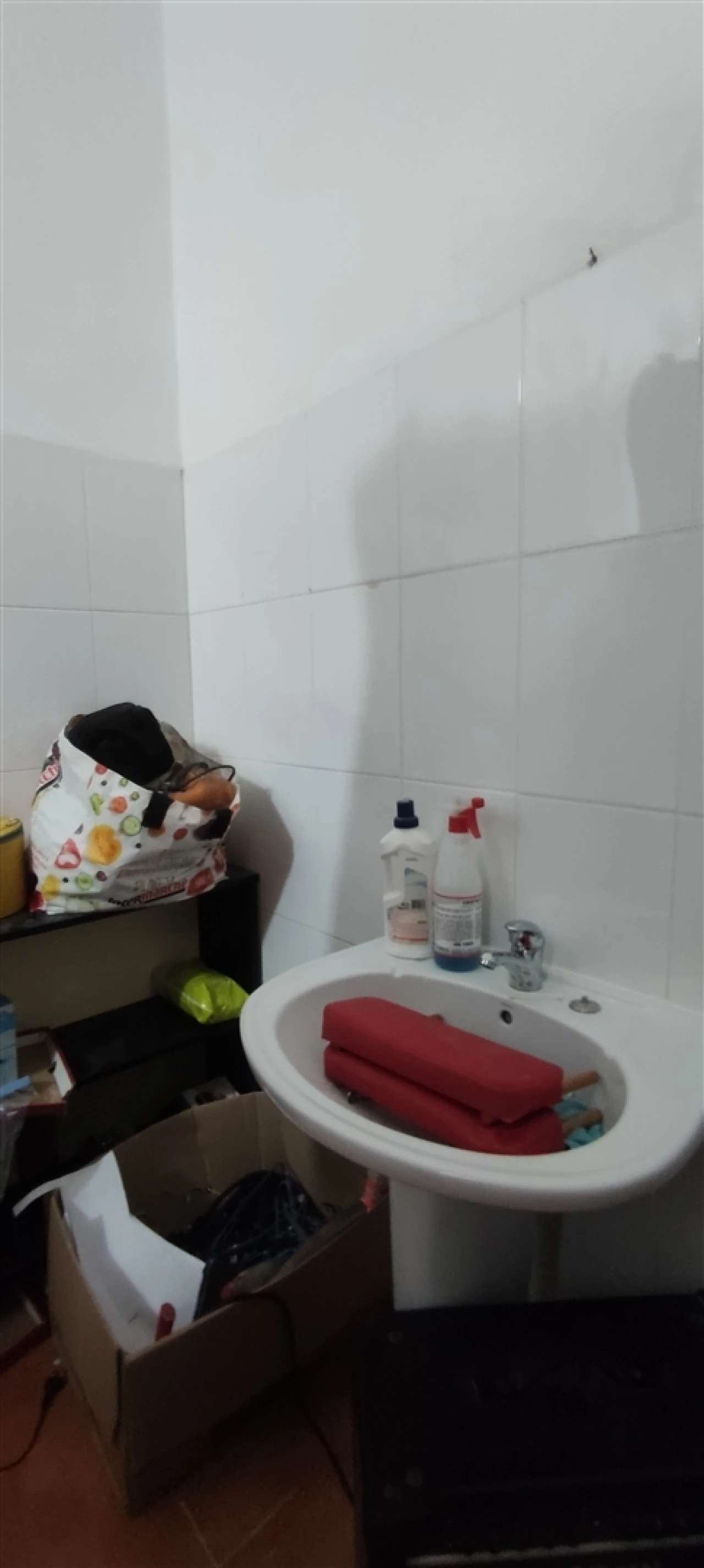 Armazém para Venda em Cebolais de Cima e Retaxo Foto 45