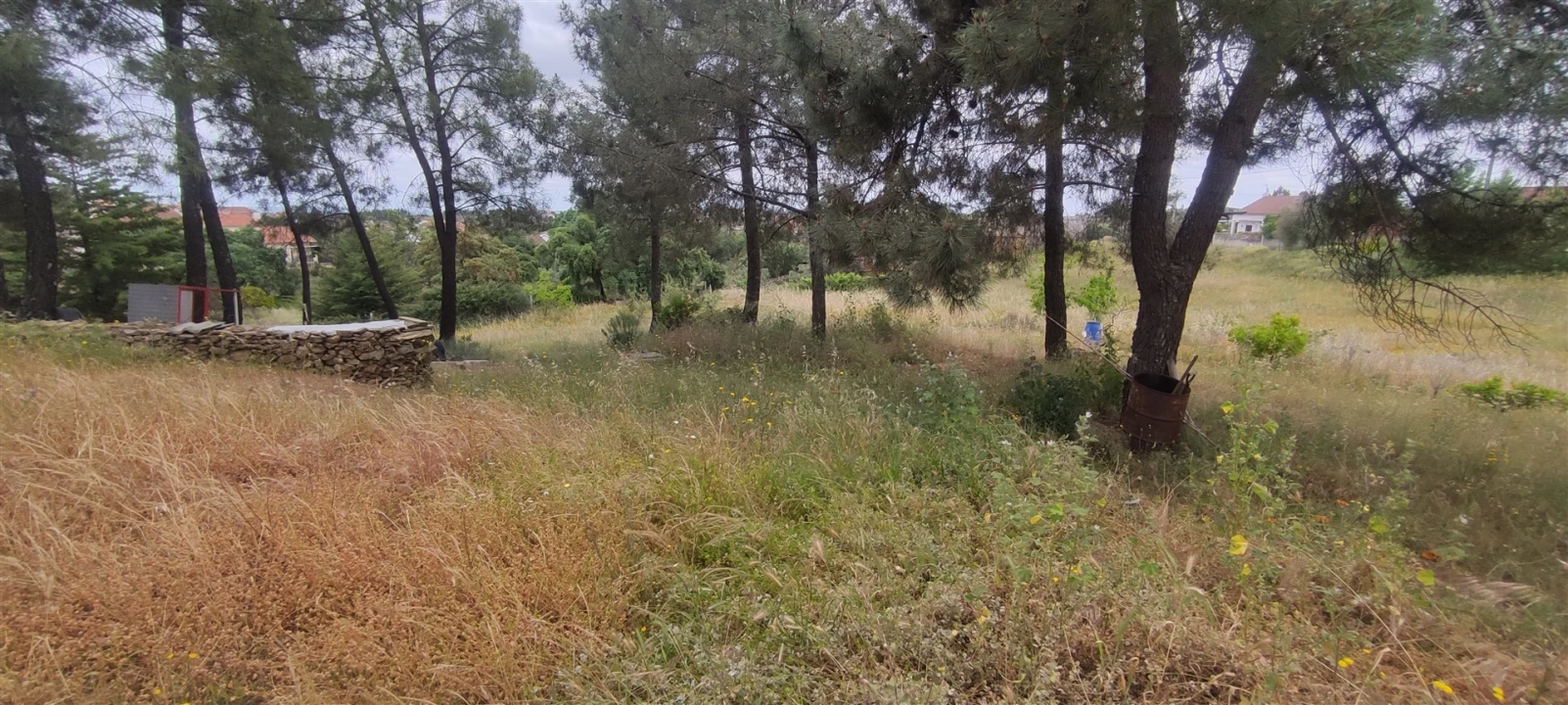 Armazém para Venda em Cebolais de Cima e Retaxo Foto 9