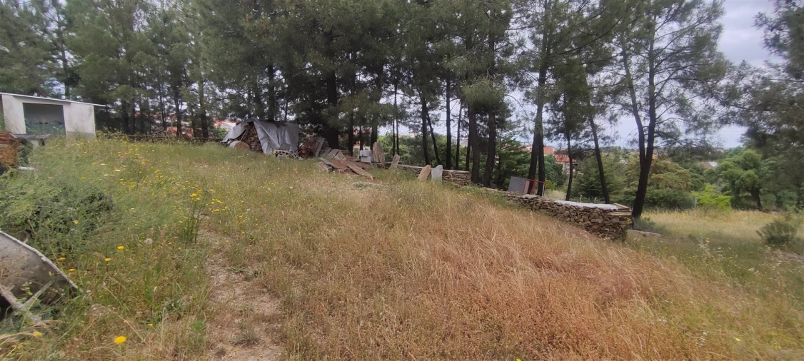 Armazém para Venda em Cebolais de Cima e Retaxo Foto 10