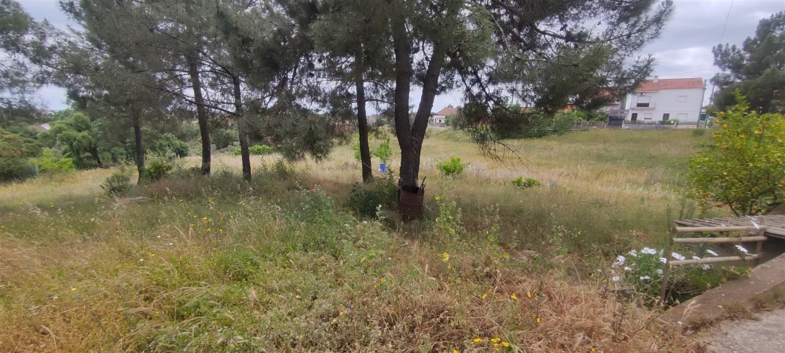 Armazém para Venda em Cebolais de Cima e Retaxo Foto 8