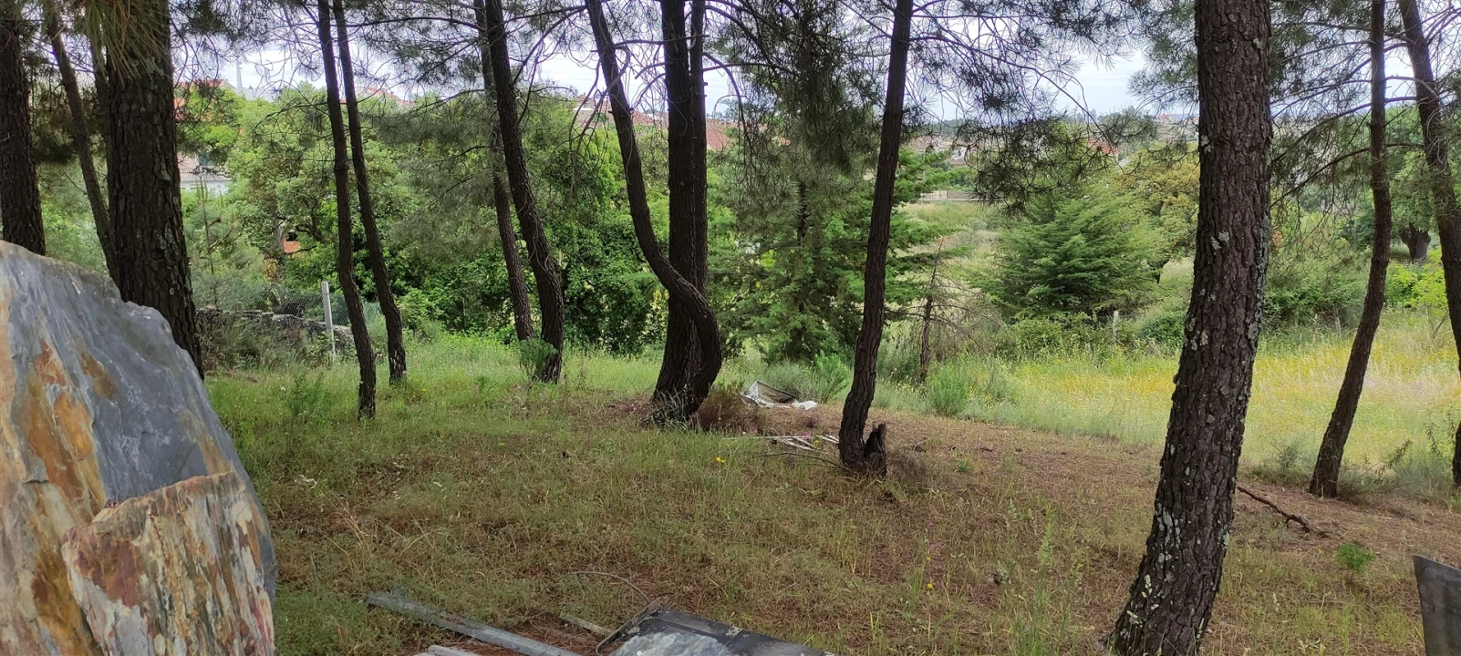 Armazém para Venda em Cebolais de Cima e Retaxo Foto 11