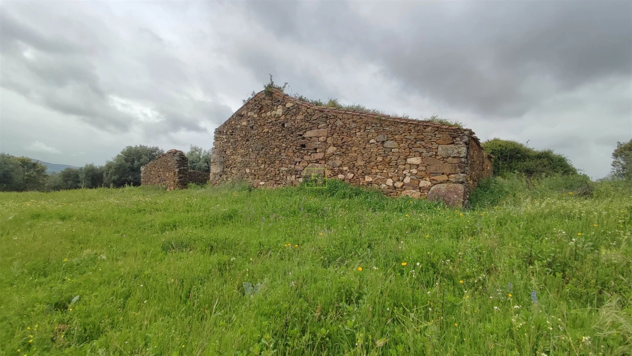 Quinta T0 para Venda em Penamacor Foto 18