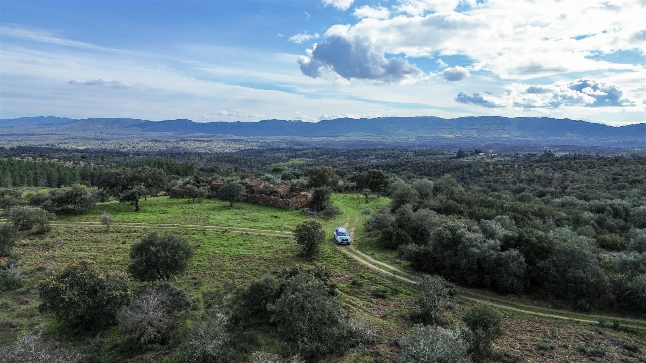 Quinta T0 para Venda em Penamacor Foto 52