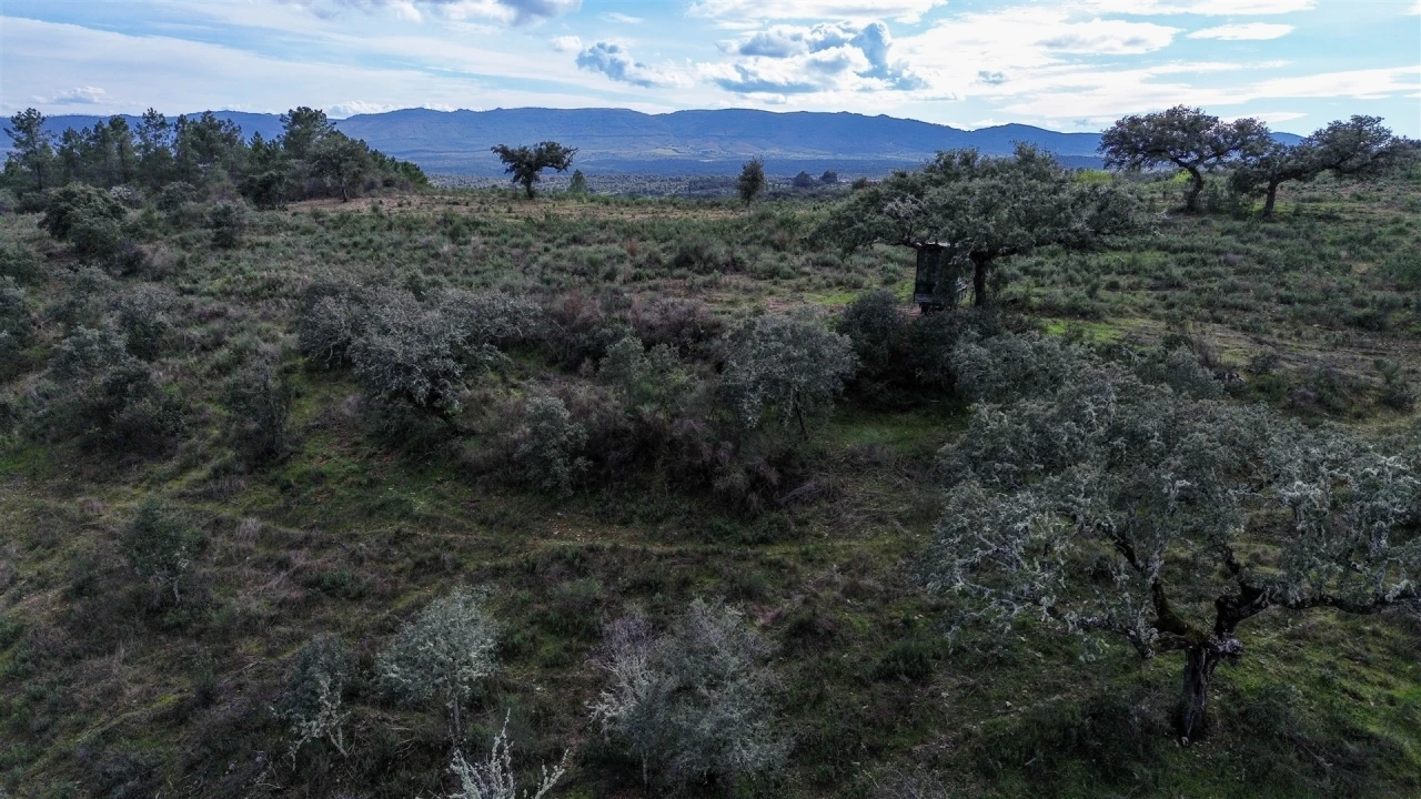 Quinta T0 para Venda em Penamacor Foto 61